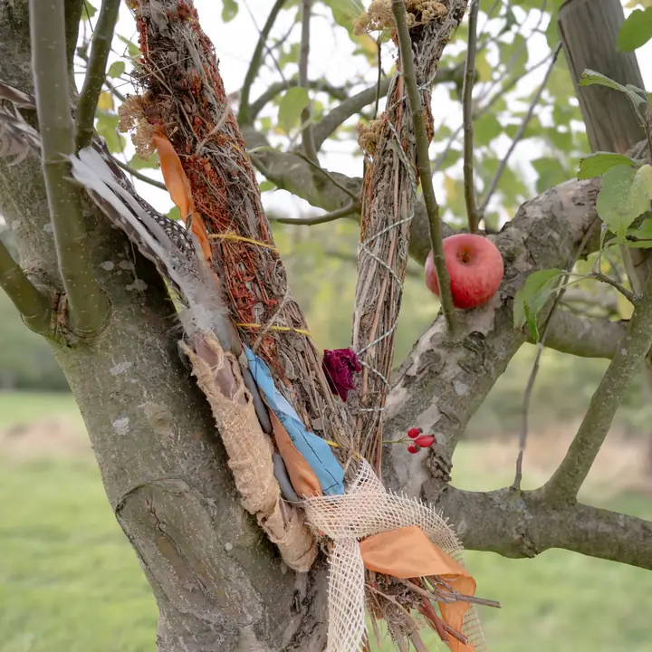 Kräuterbündel und ein roter Apfel in einer Astgabel